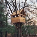 Treehouse Construction