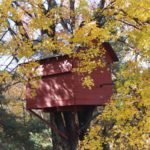 Treehouse Construction