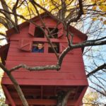 Treehouse Construction