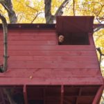 Treehouse Construction