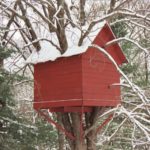 Treehouse Construction